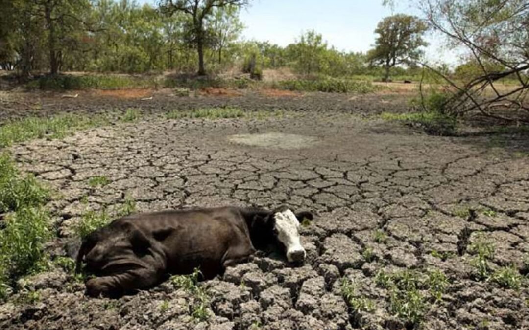 Plan Ambiental